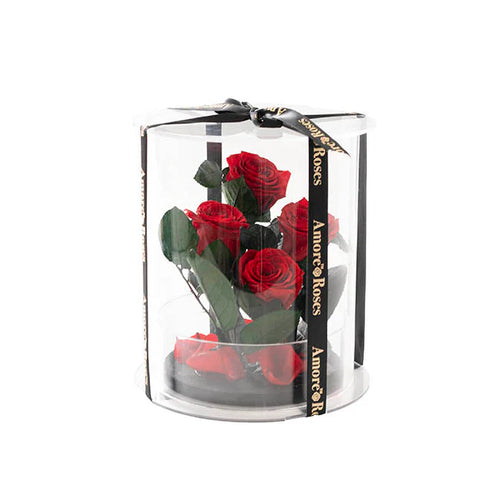 Red Amore rose bear in a coordinated gift arrangement