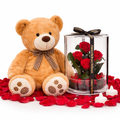 Large Teddy Bear Brown (70cm Sitting)