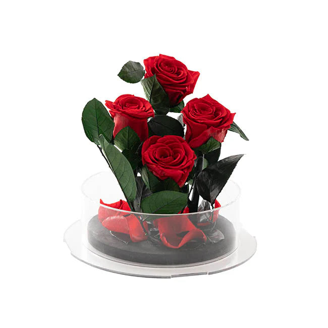 Forever Roses