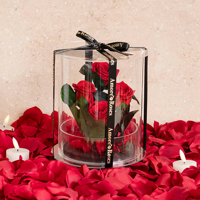 Forever Roses