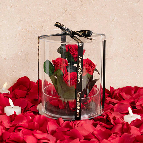 Preserved forever rose arrangement