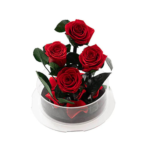Forever Roses