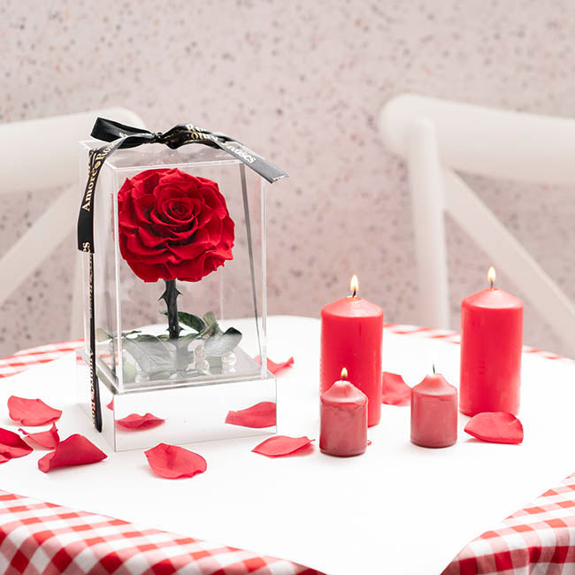 Forever Rose Single Stem (13x22cmH)