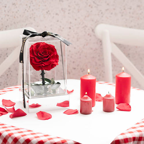 Preserved red rose displayed in an acrylic gift box