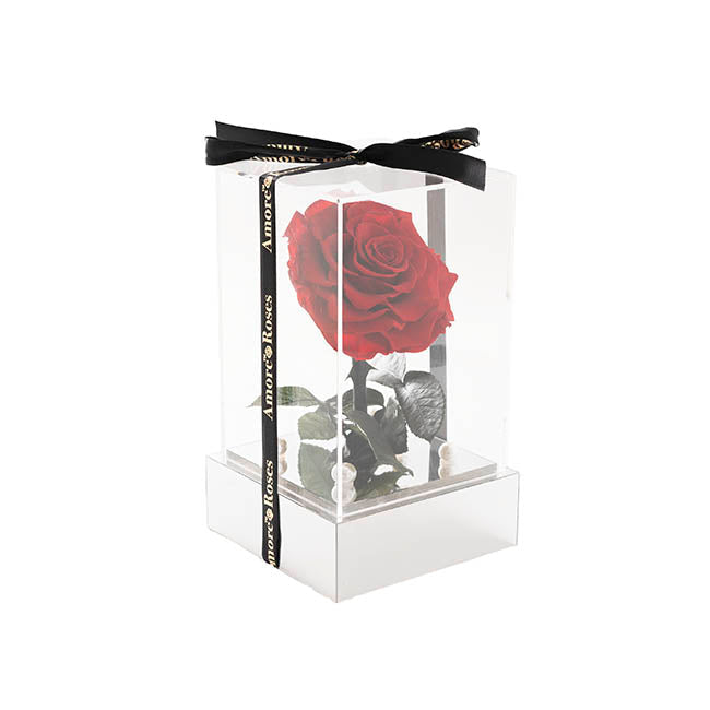 Forever Rose Single Stem (13x22cmH)