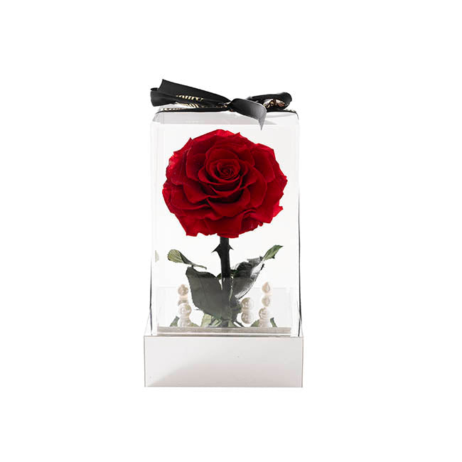 Forever Rose Single Stem (13x22cmH)