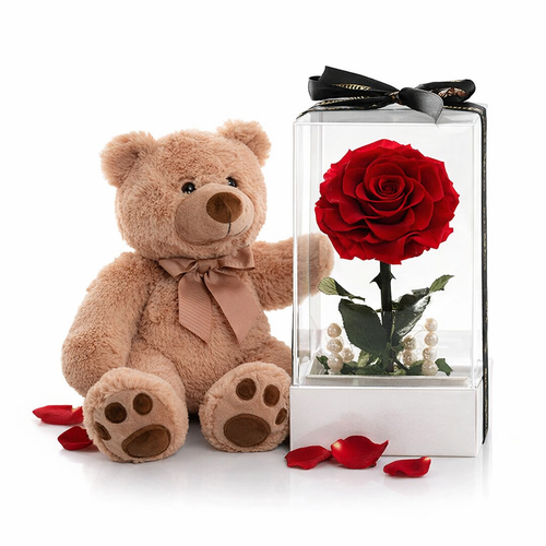 Gift Set — Teddy Bear × Forever Rose