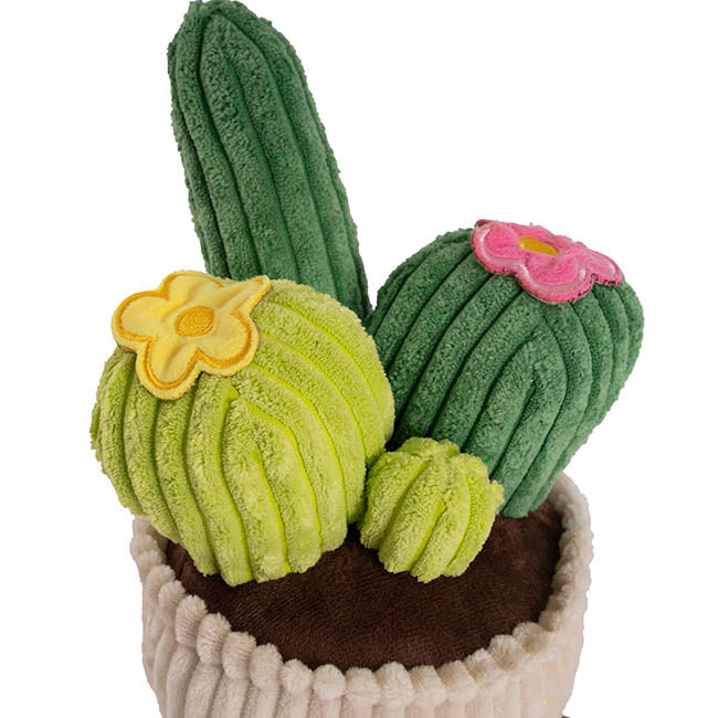Cactus Soft Toy (25cmHT)