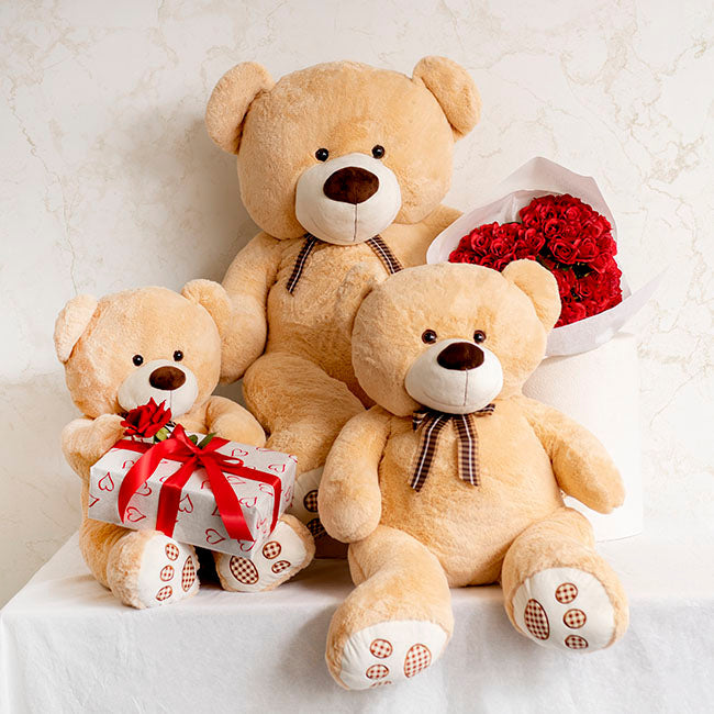 Large Teddy Bear Brown (70cm Sitting)