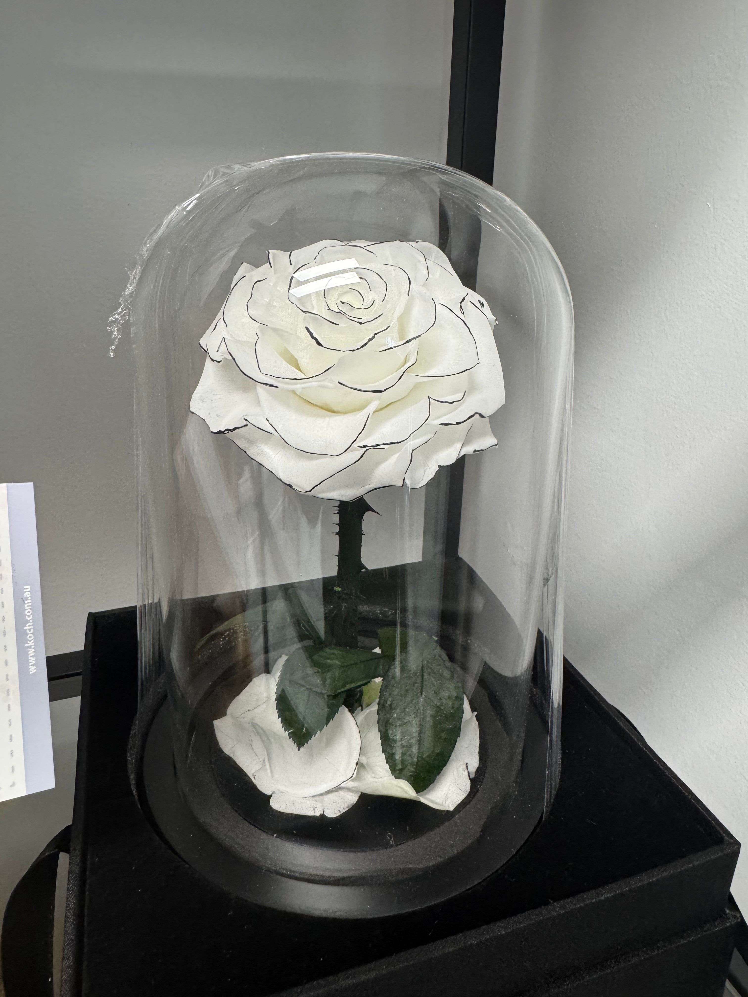 Forever Rose White