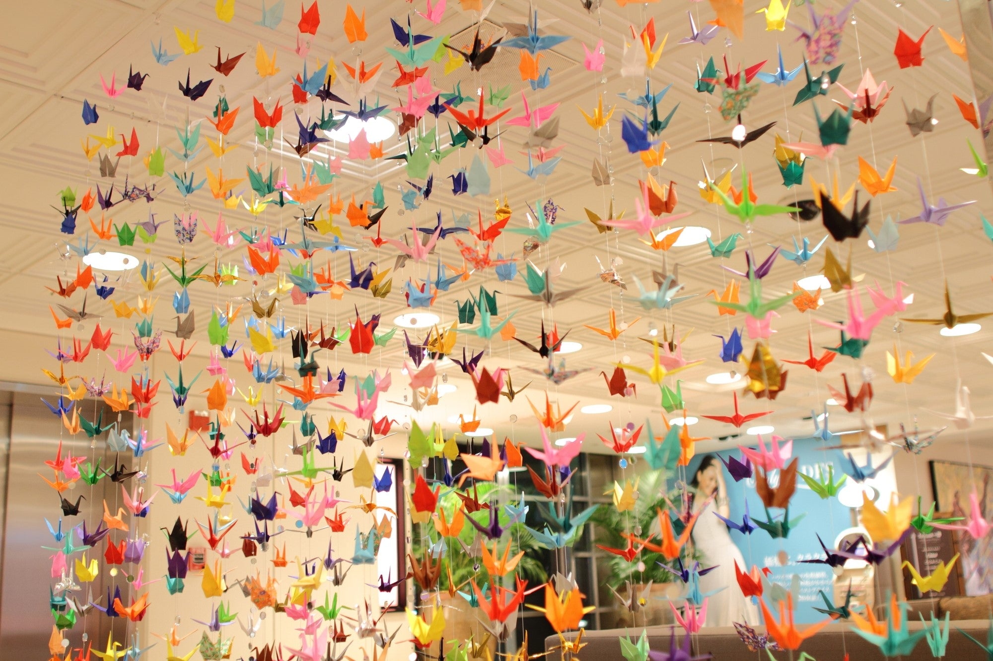 Paper Art Gift Box 🎁 50 paper cranes